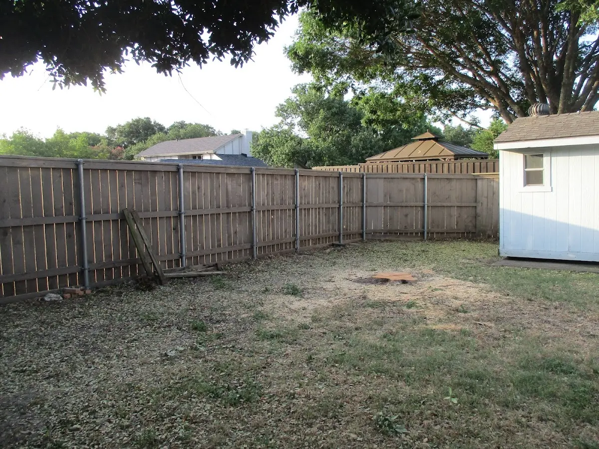 Cleared yard after professional tree removal in Sheridan